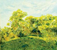 Зеленая поляна