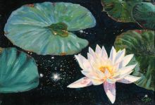 Солнце взошло