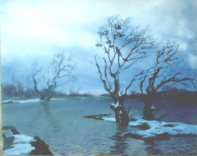 Грачи,половодье