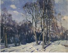 Февральское солнце. Кунцево