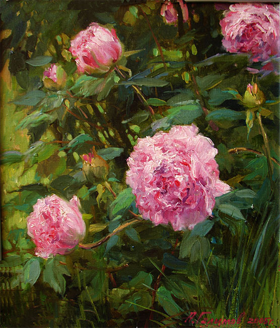 Турецкие пионы  