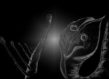 Возвращение к змейкам