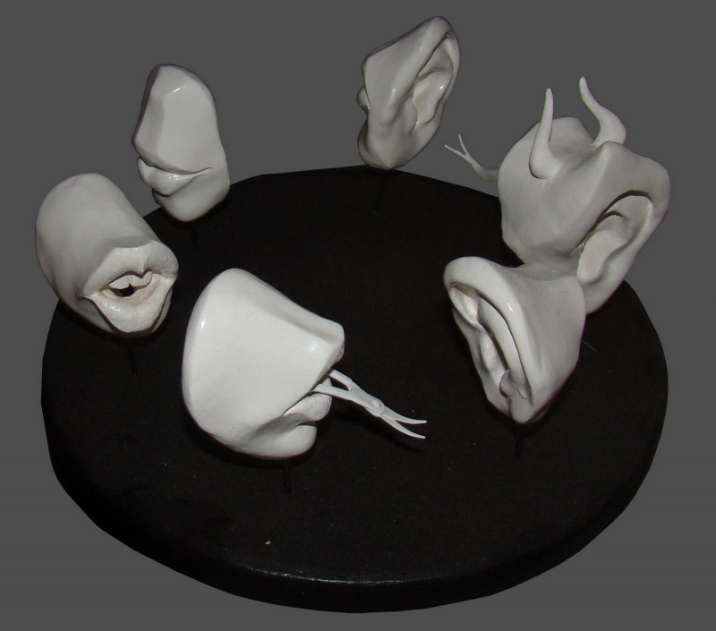 Слуховорот  в природе человека