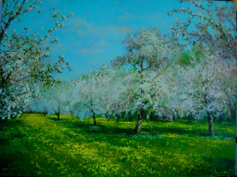 белых яблонь дым..