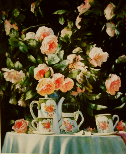 бабушкин сад