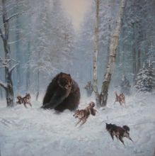 подняли медведя