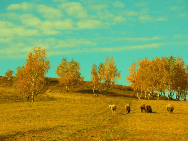 Постой на косогоре