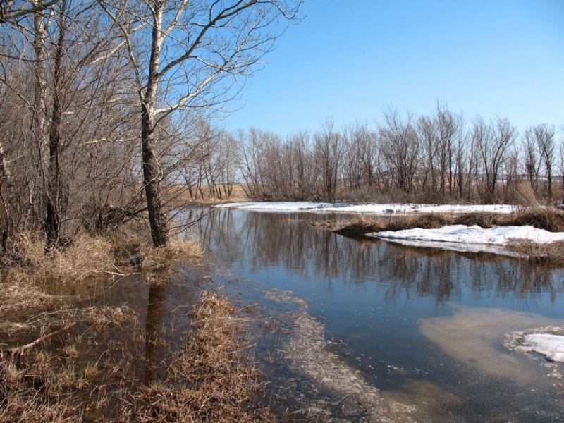 Ранняя весна
