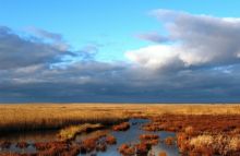 Дыхание зимы