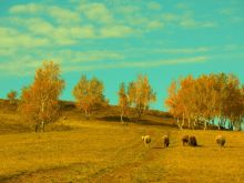 Постой на косогоре