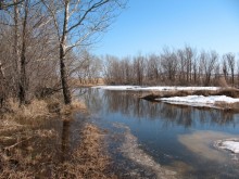 Ранняя весна