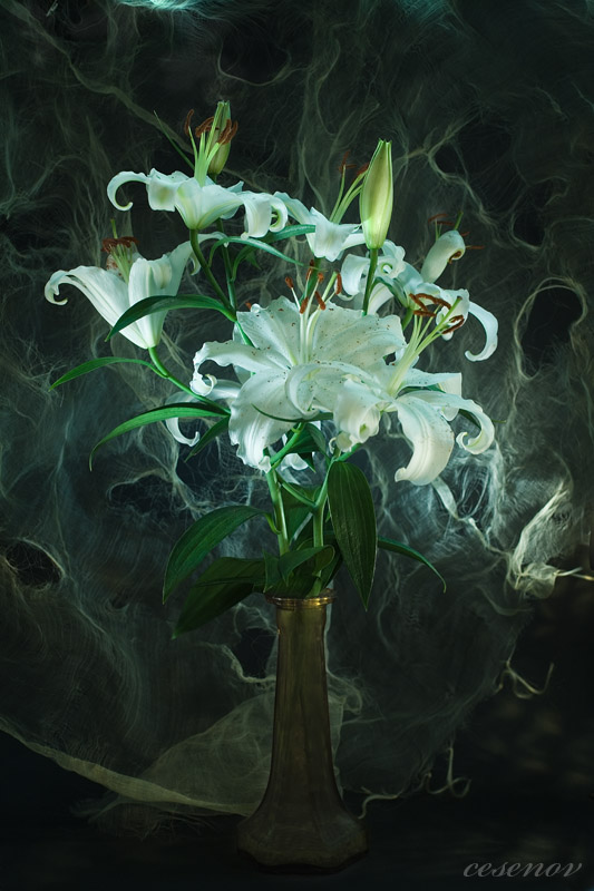 одна из многих работ