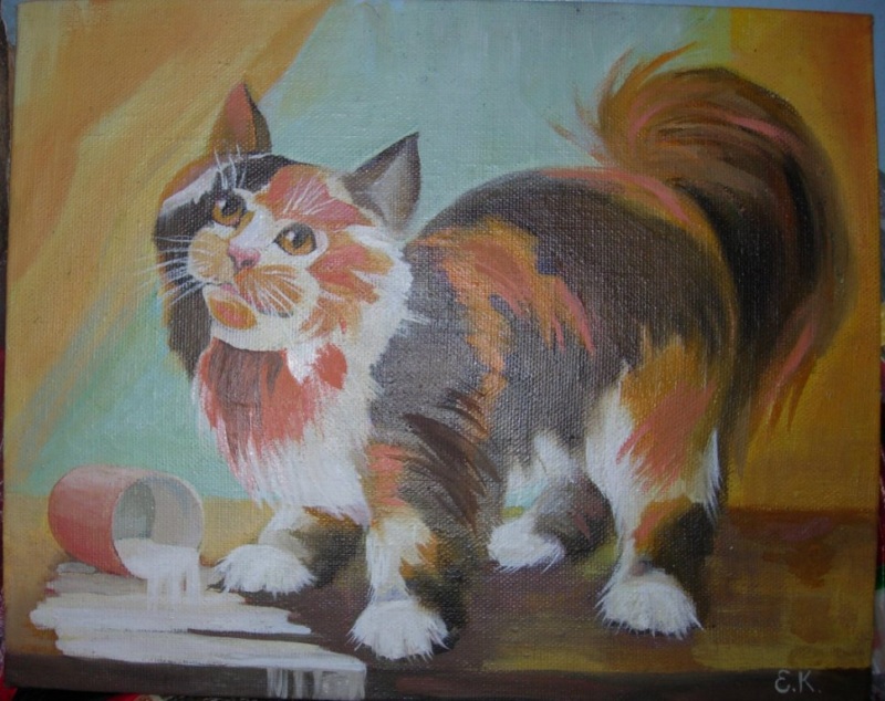 Кот Джулико Бандитто