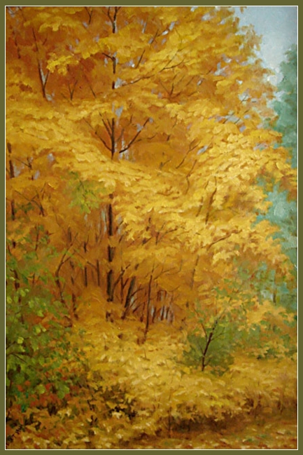 Золотой клен.