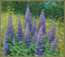 Люпины 