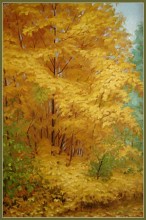 Золотой клен.