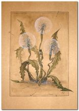 "Легкомысленность"