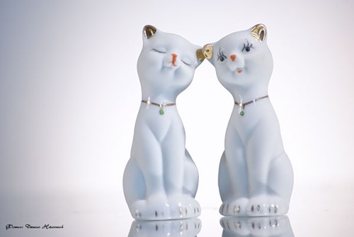 Любовь в высоком ключе 