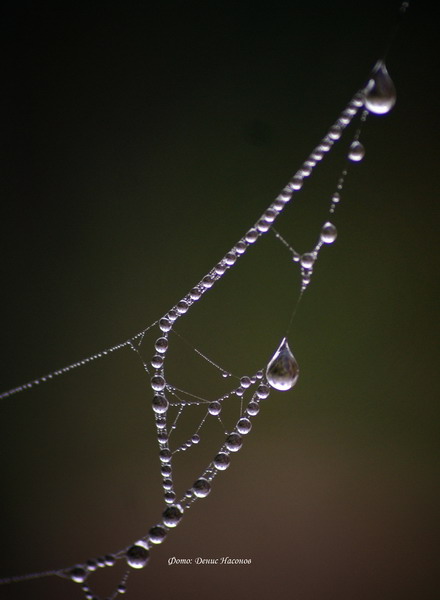 Паутина - ожерелье 