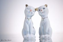 Любовь в высоком ключе 