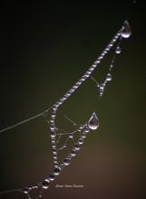 Паутина - ожерелье 