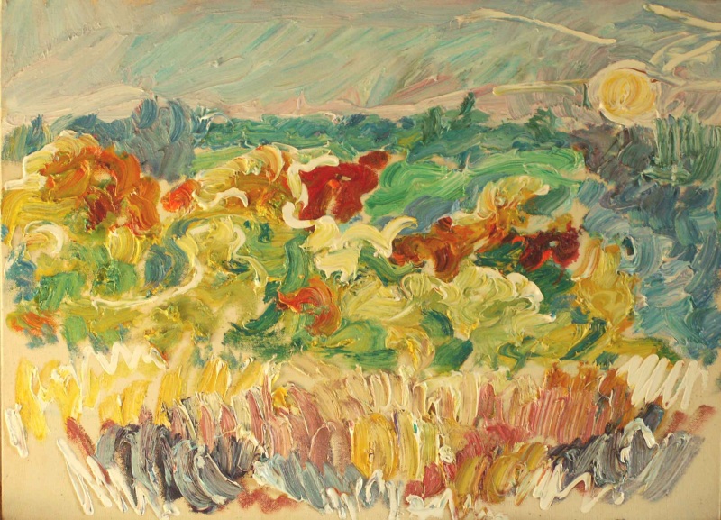 Кусты и солнце