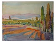 Южный мотив