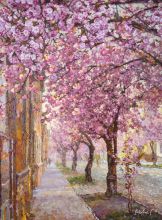 Вечерние сакуры