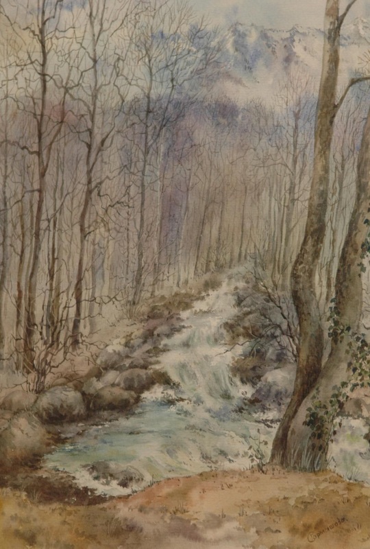 Горный ручей