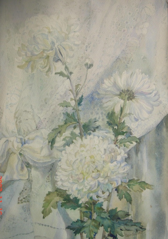  Белые хризантемы