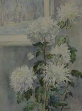 Зимние хризантемы.