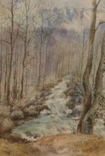 Горный ручей