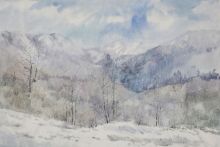 Красная поляна. Зима