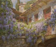 Цветение глицинии