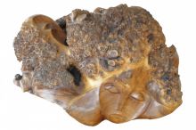 адам и ева мал