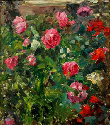 Красные розы