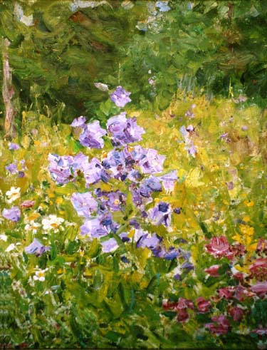 Колокольчики цветут