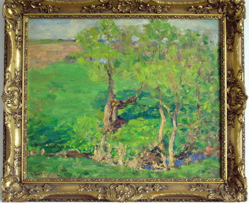 Первая зелень