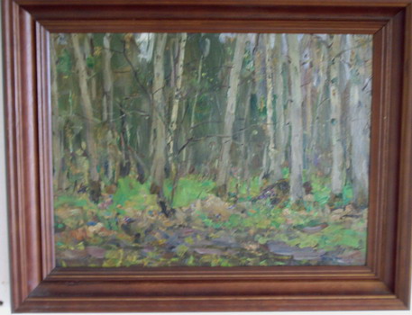 Подснежники цветут