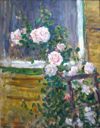 Розы цветут