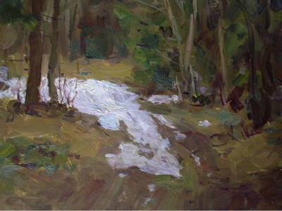 Последний снег