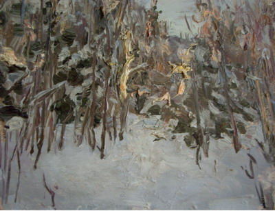 Лес на закате