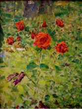 Розы на даче