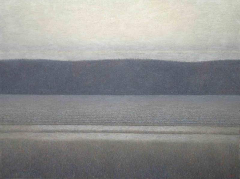 Дорога Поле Лес Небо