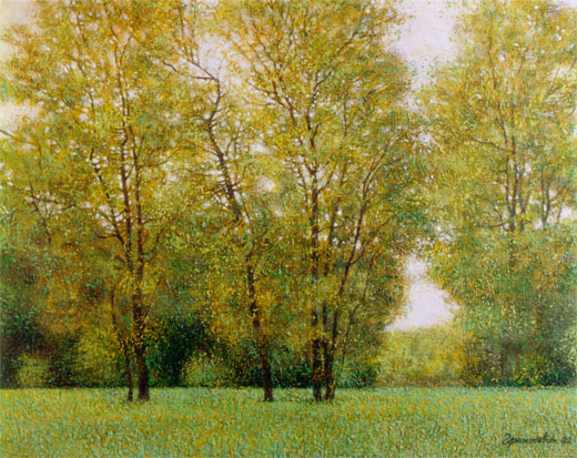 Зеленое кружево