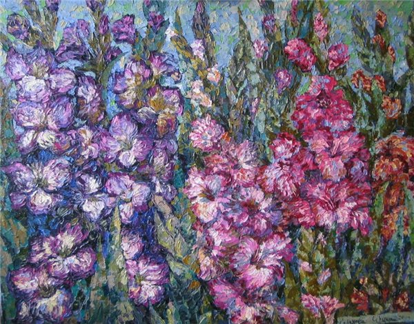 гладиолусы