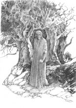 Данте Алигьери. ...