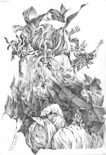 Данте Алигьери. ...