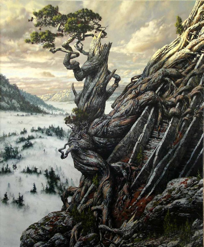 Сосна на скале. Из серии 