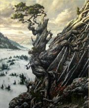 Сосна на скале. Из серии "Выживание"